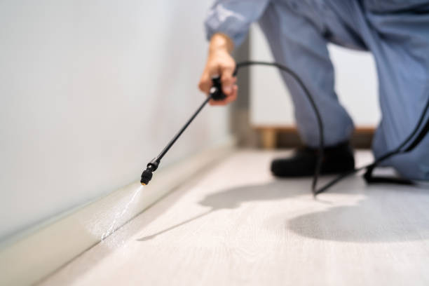 Licensed Termite Control service in Warwick, RI - Nex Pest Control