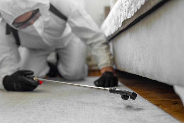 Professional Termite Control technician working in Warwick, RI