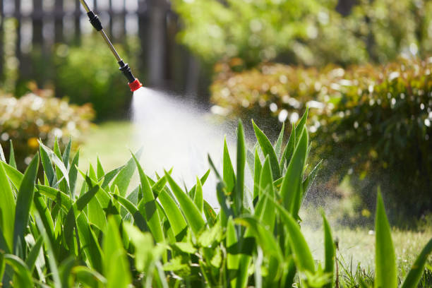 24/7 Emergency Termite Control experts in Warwick, RI