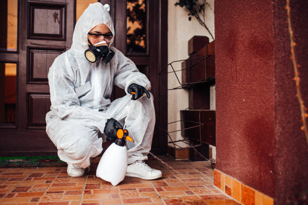 Reliable Termite Control contractor in Warwick, RI by Nex Pest Control